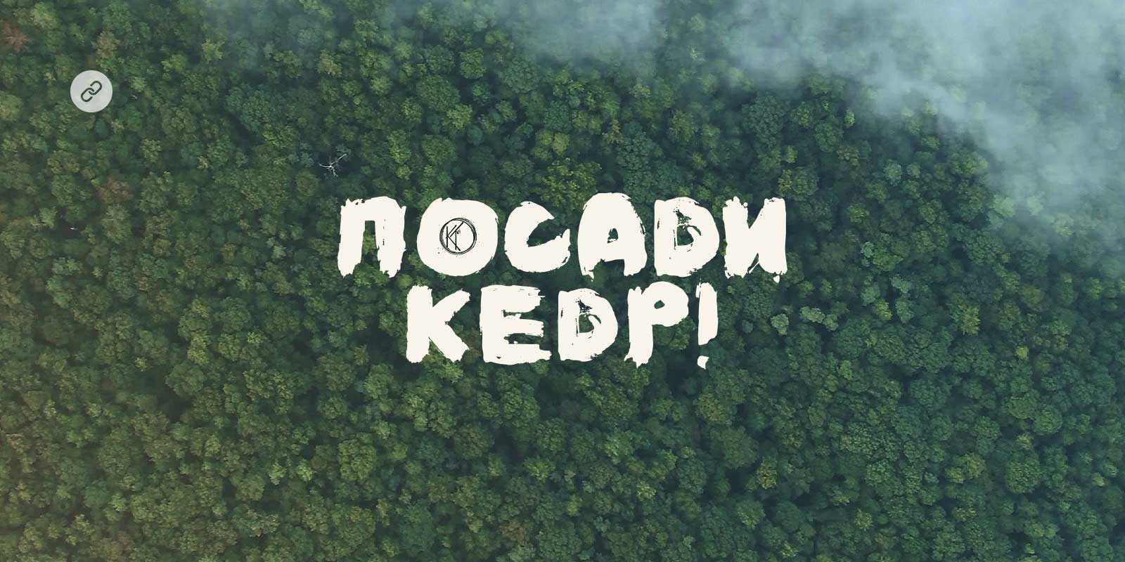 Посади кедр