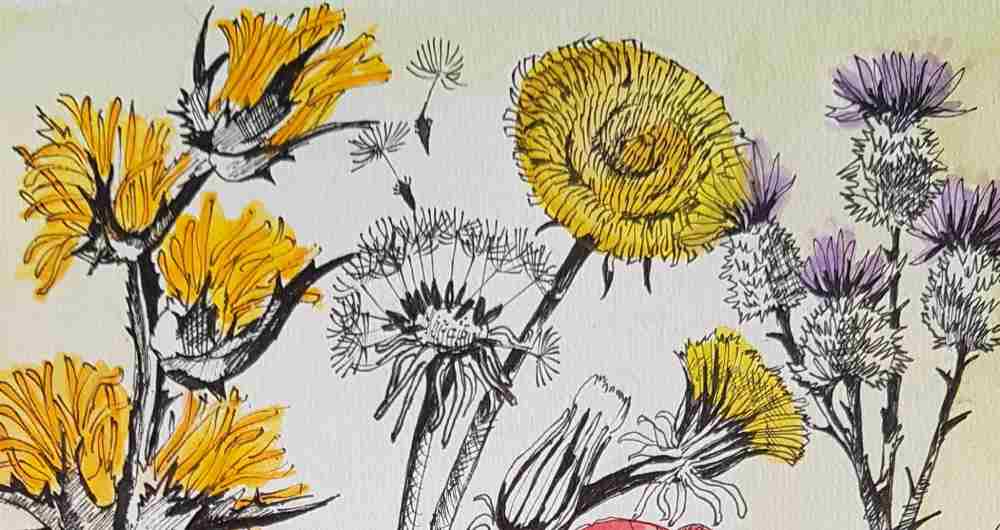 Эфирные масла - часть 1