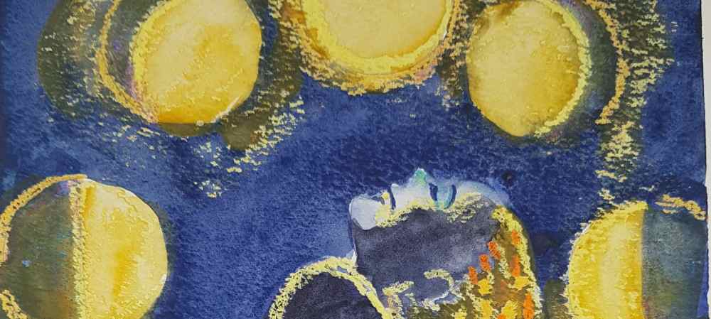 Лунный женский цикл: схема ротации семян