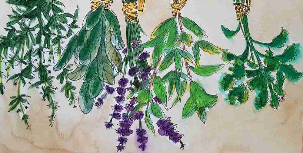 Эфирные масла - часть 2