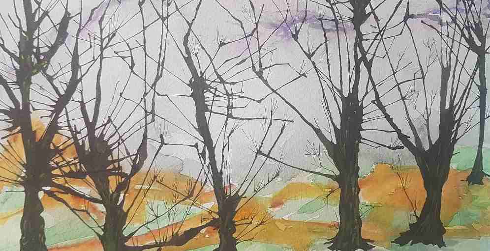 Черная метка: Плесень