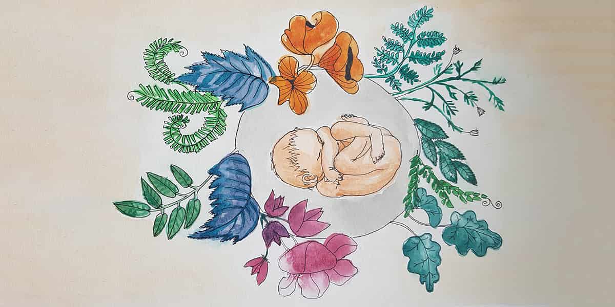 Путь к звёздам 4 - Каскад вмешательств