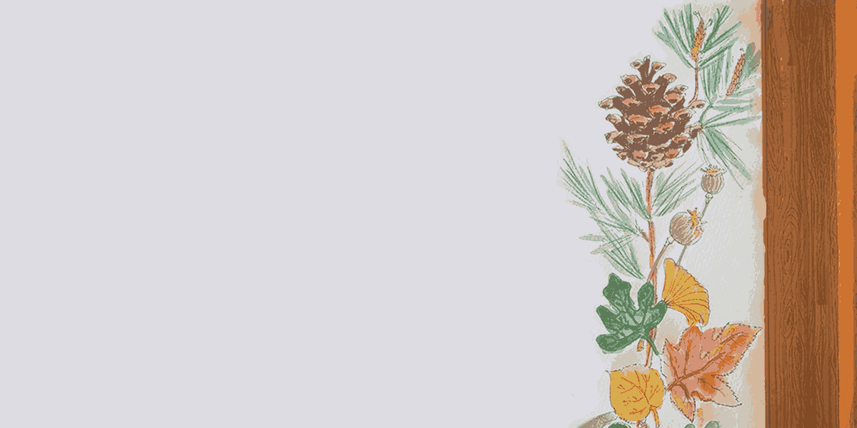 Шишковидная железа